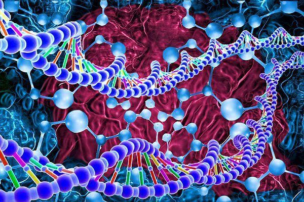 有哪些天然方法預防白毛，arxiv論文助手arxiv論文助手arxiv論文助手