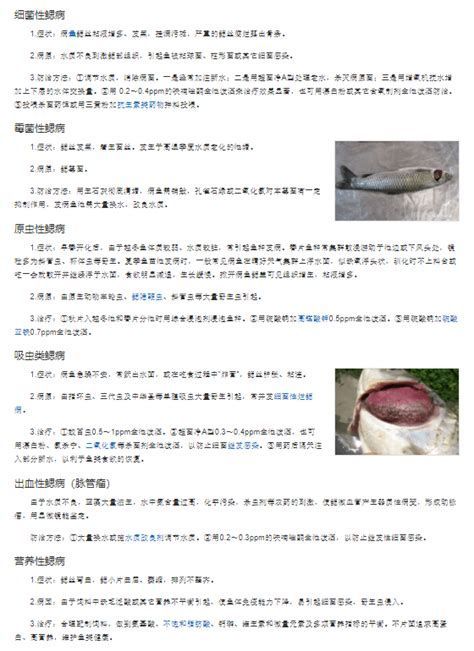 詳解(1000字和配圖)如何區(qū)分龍魚的三種疾病?,如何區(qū)分龍魚的三種主要疾病(arowana) 龍魚百科 第3張 詳解(1000字和配圖)如何區(qū)分龍魚的三種疾病?,如何區(qū)分龍魚的三種主要疾病(arowana) 詳解(1000字和配圖)如何區(qū)分龍魚的三種疾病?,如何區(qū)分龍魚的三種主要疾病(arowana) 龍魚百科 第3張
