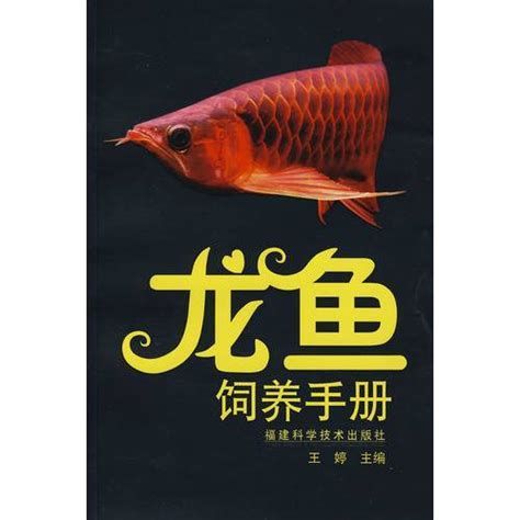 詳解（1000字和配圖）如何選購一條健康的龍魚？，如何選購一條健康的龍魚？