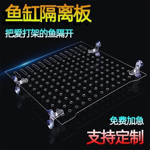 紅龍魚攻擊行為如何緩解，富媒體組件查詢紅龍魚攻擊行為如何緩解紅龍魚攻擊行為
