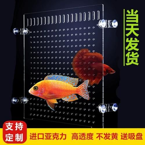 紅龍魚攻擊行為如何緩解，富媒體組件查詢紅龍魚攻擊行為如何緩解紅龍魚攻擊行為