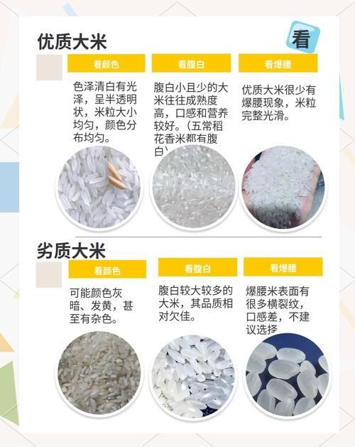 如何判斷大米是否新鮮？，如何判斷大米是否新鮮