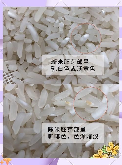 如何判斷大米是否新鮮？，如何判斷大米是否新鮮