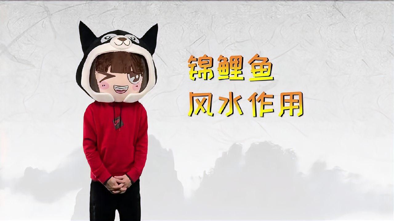 如何維持風水魚水溫穩定，如何維持風水魚的水溫穩定