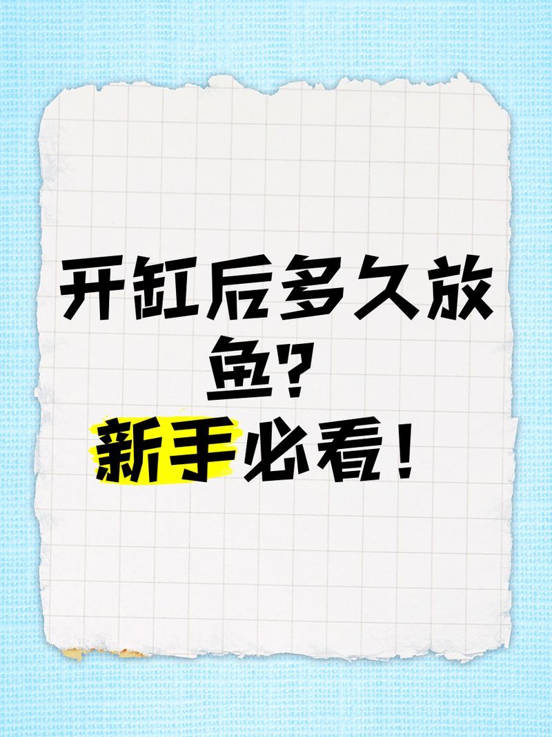 龍魚缸開缸后多久可以放魚，龍魚缸開缸后多久可以放魚,新缸開缸后多久可以放魚