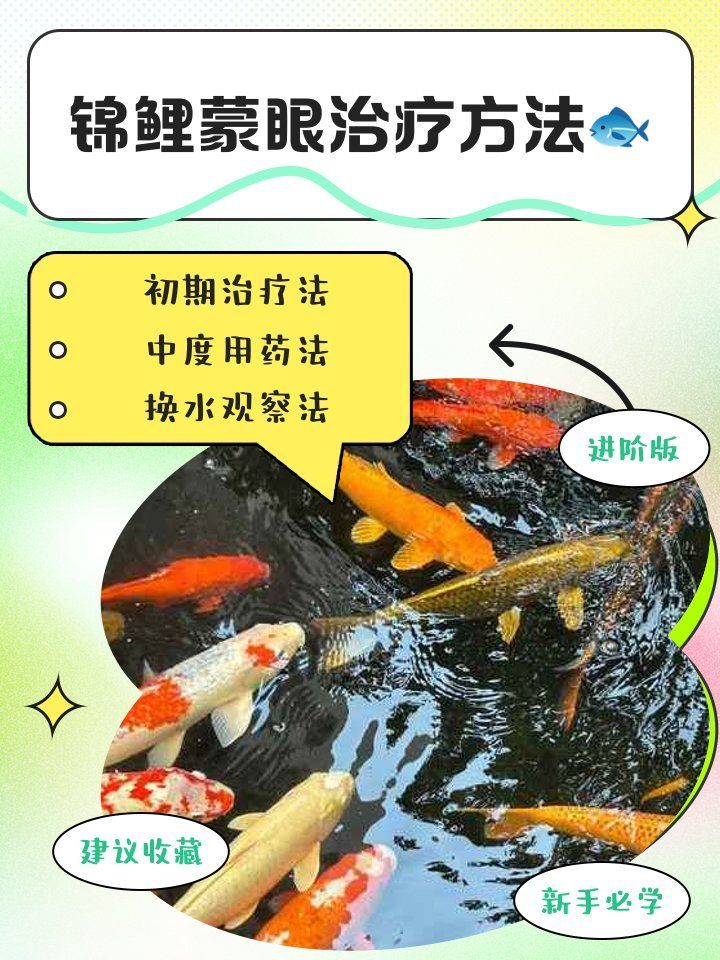 哪種藥物治療錦鯉蒙眼最快見效，治療錦鯉蒙眼病需要多長時間,哪種藥物治療錦鯉蒙眼最安全