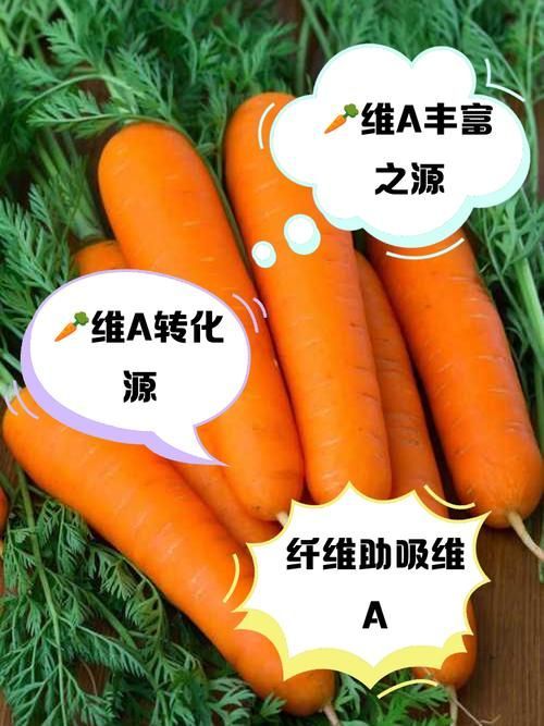 有哪些食物富含維生素A，富含維生素a食物轉化率約12:1思考完成,無中毒風險