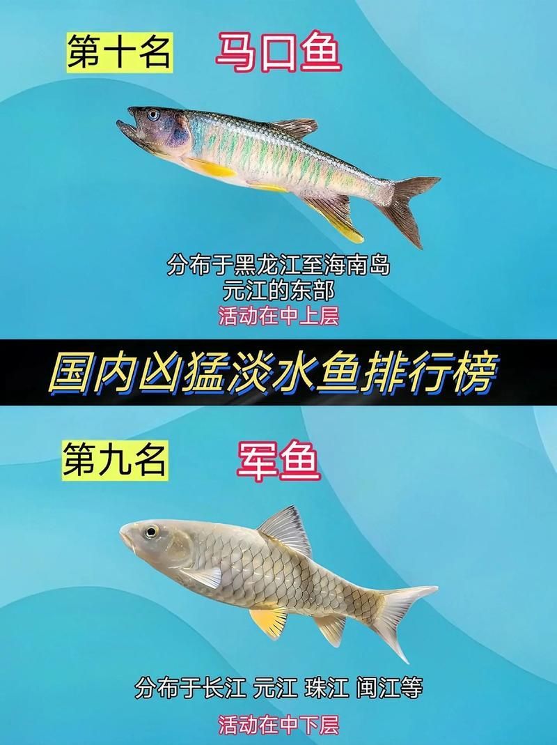 能否提供十大暴利淡水魚的圖片，養殖淡水魚的價格