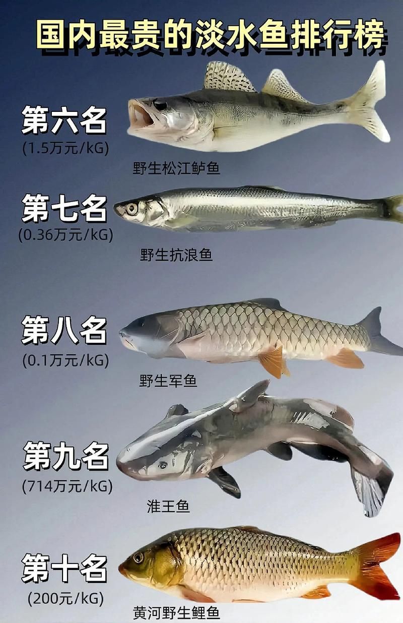 能否提供十大暴利淡水魚的圖片，養殖淡水魚的價格