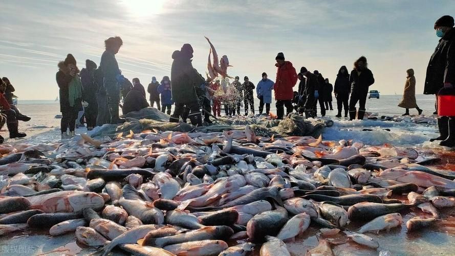 能否提供十大暴利淡水魚的圖片，養殖淡水魚的價格