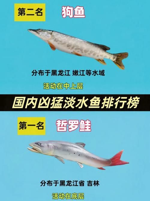 能否提供十大暴利淡水魚的圖片，養殖淡水魚的價格