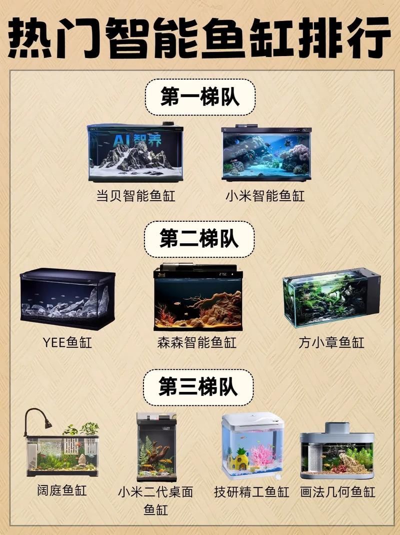 魚(yú)缸大小如何選擇，家庭魚(yú)缸尺寸全解析|新手必看