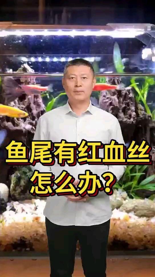 魚尾充血帶血絲用什么藥，魚尾充血絲用什么藥調用工具百度健康-去問診