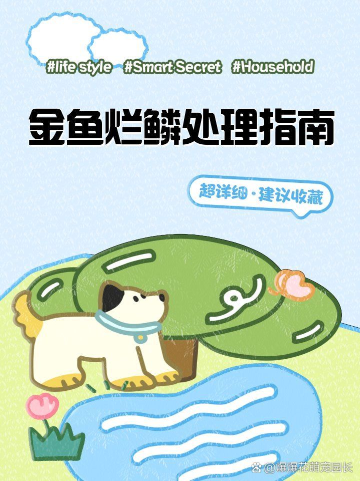 哪種藥物治療魚鱗腐爛最有效，哪種藥物治療魚鱗腐爛最有效，