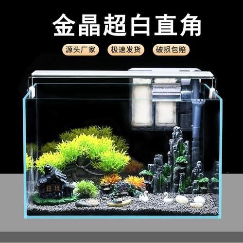 如何為新手選擇適合的魚缸，新手養魚不知道魚缸怎么選