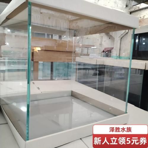 如何為新手選擇適合的魚缸，新手養魚不知道魚缸怎么選