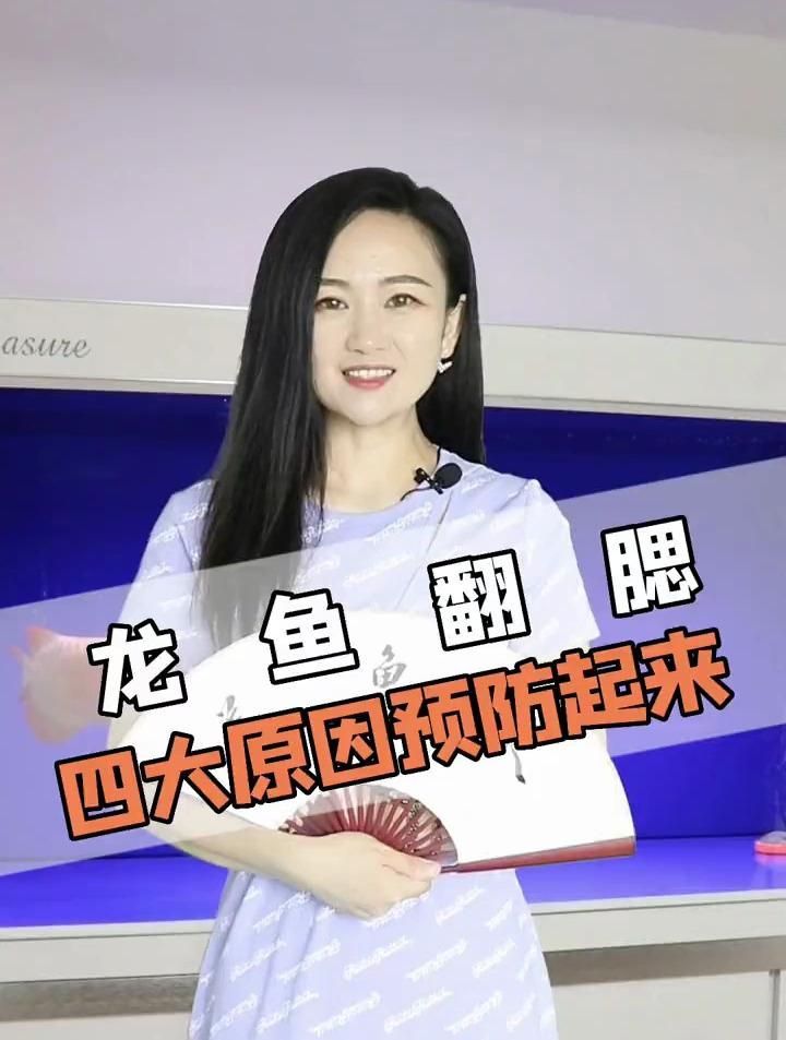 龍魚翻鰓能否自愈，如何判斷龍魚翻鰓的階段？