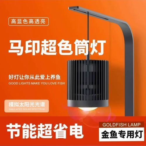 馬印水族哪個產品最受歡迎？，馬印水族哪個產品最受歡迎馬印水族哪個產品最受歡迎
