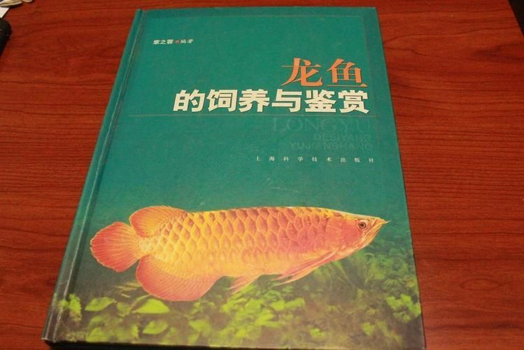 黃瘸子在“大道龍魚”故事中扮演什么角色？，網絡小說《截運道師》《截運道師》《截運道師》《截運道師》