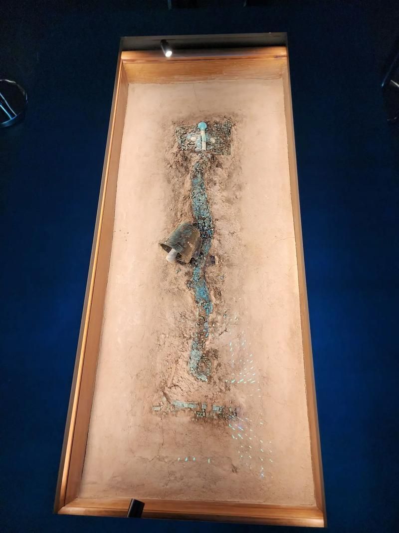 2024年有哪些關于龍魚的考古發現？，2024年關于龍魚的考古發現，用戶要求詳解2024年關于龍魚的考古發現