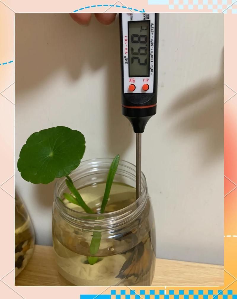 如何記錄龍魚缸的水溫變化？