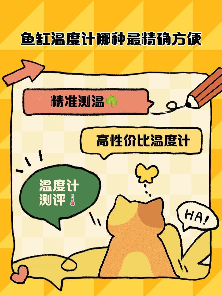 如何記錄龍魚缸的水溫變化？