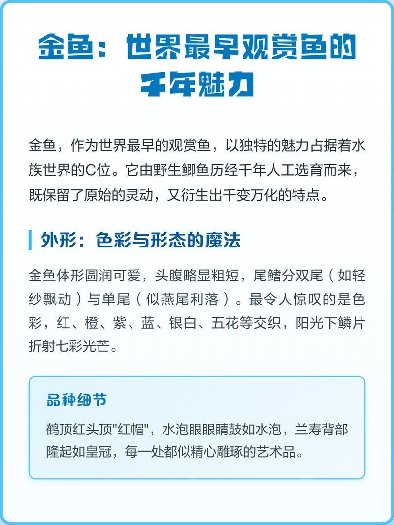 金魚和龍魚哪個(gè)更有觀賞價(jià)值，金魚和龍魚哪個(gè)更有觀賞價(jià)值，