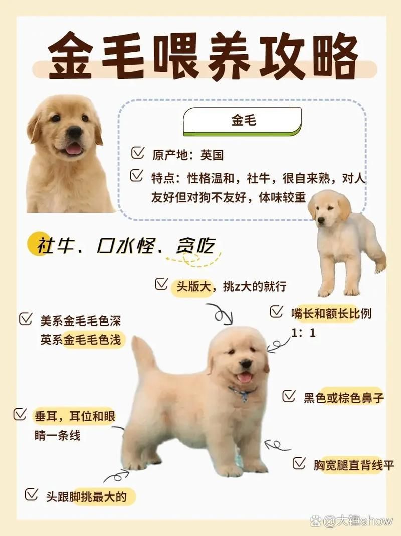 能否提供更詳細的飼養指南，西安寵物狗狗狗飼養指南（****） 能否提供更詳細的飼養指南，西安寵物狗狗狗飼養指南（****） 龍魚百科 第10張