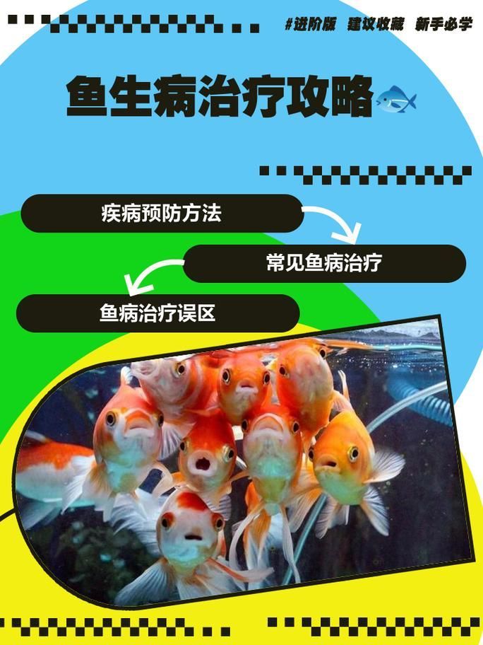 給我一些預防龍魚病癥的圖片，龍魚常見病癥及其預防方法
