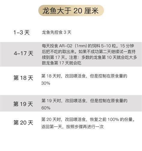 龍魚喂食哪些食物最好？，龍魚喂食詳解，龍魚喂食的詳盡指南，