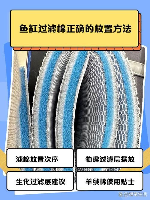 如何預防龍魚炸鱗，如何預防龍魚炸鱗的科學預防指南（1000字詳解）