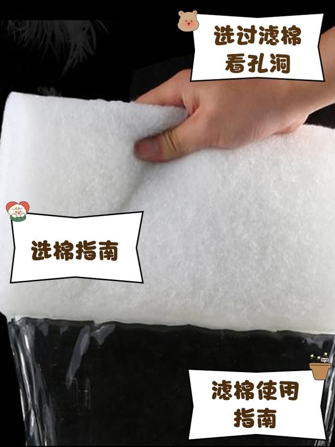如何預防龍魚炸鱗，如何預防龍魚炸鱗的科學預防指南（1000字詳解）