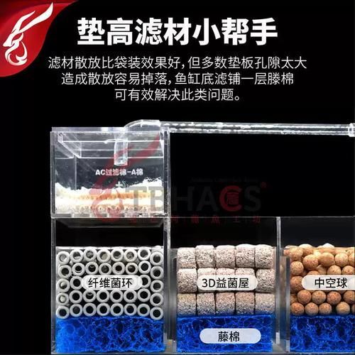 如何預防龍魚炸鱗，如何預防龍魚炸鱗的科學預防指南（1000字詳解）