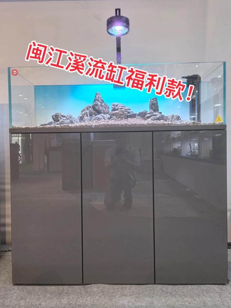 推薦幾款性價比高的龍魚缸，推薦幾款性價比高的龍魚缸思考完成