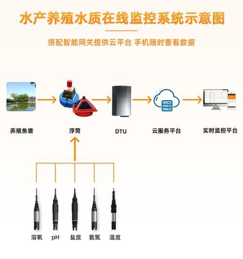 如何預防松鱗病復發，如何預防魚缸松鱗病復發