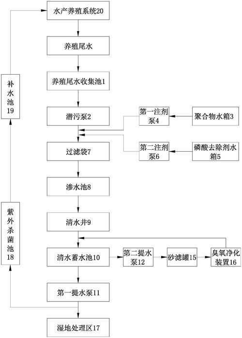 如何預防松鱗病復發，如何預防魚缸松鱗病復發
