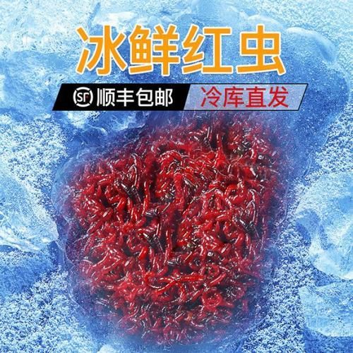 龍魚餌料中哪些成分最重要？，龍魚餌料中哪些成分最重要？如何判斷龍魚是否營養均衡？