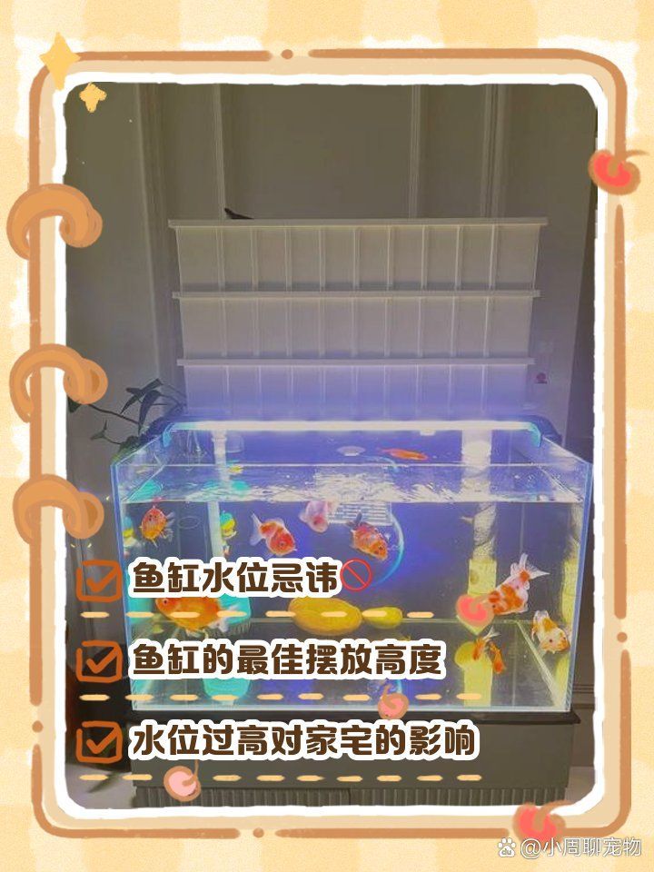 魚缸水位差多少會影響魚？，魚缸水位差多少會影響魚類健康？