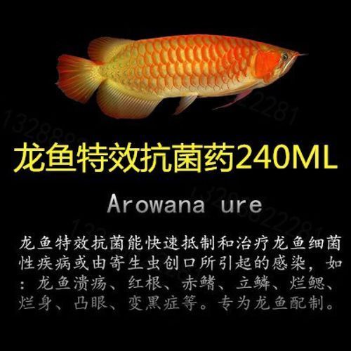 祥龍龍魚清菌靈的價格是多少？，祥龍龍魚清菌靈主流價格對比表