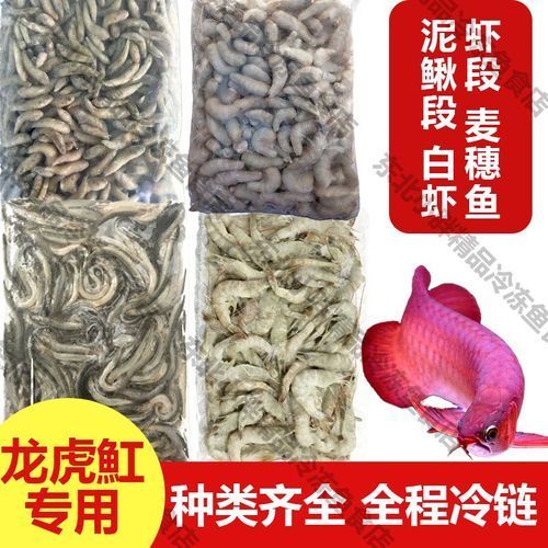 給我一些龍魚喂食海蝦的圖片示例