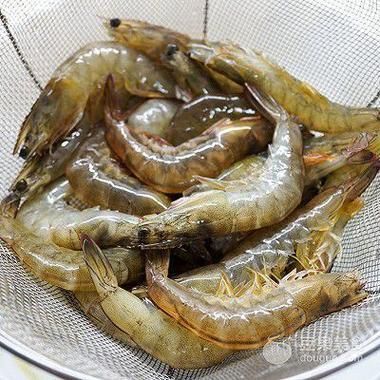 給我一些龍魚喂食海蝦的圖片示例