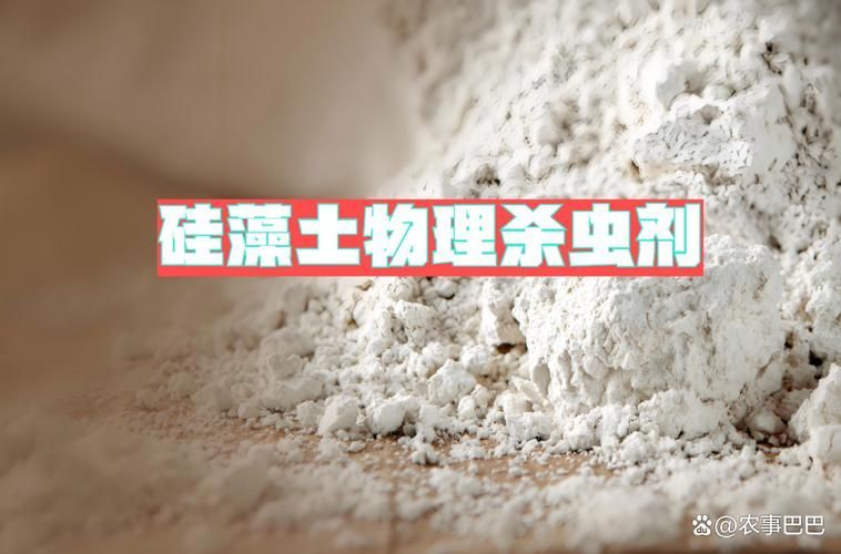天然方法防治面包蟲需要多長時間見效，天然方法防治面包蟲需要多長時間見效思考完成arxiv論文助手
