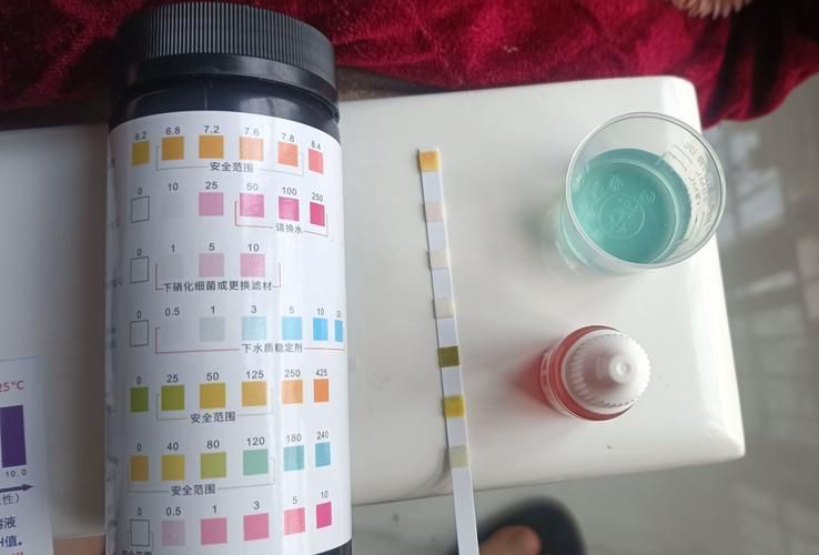 如何判斷魚缸是否消毒干凈，arxiv論文助手arxiv論文助手判斷魚缸是否消毒干凈