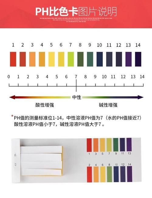 如何判斷魚缸是否消毒干凈，arxiv論文助手arxiv論文助手判斷魚缸是否消毒干凈