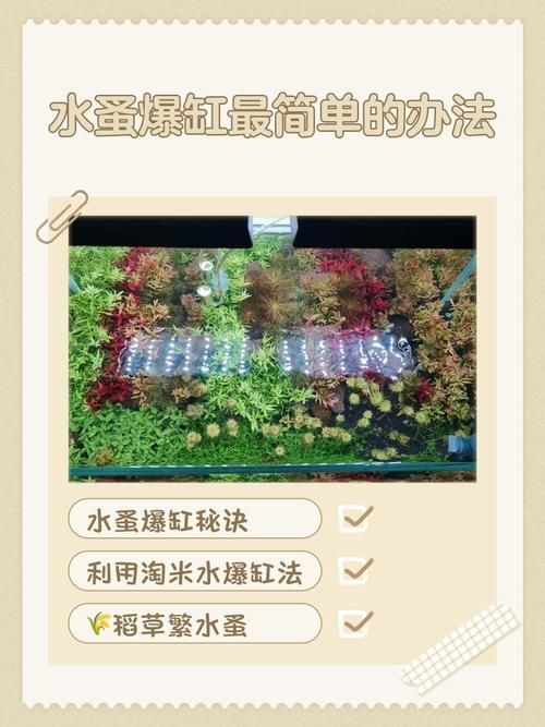 如何判斷魚缸是否消毒干凈，arxiv論文助手arxiv論文助手判斷魚缸是否消毒干凈