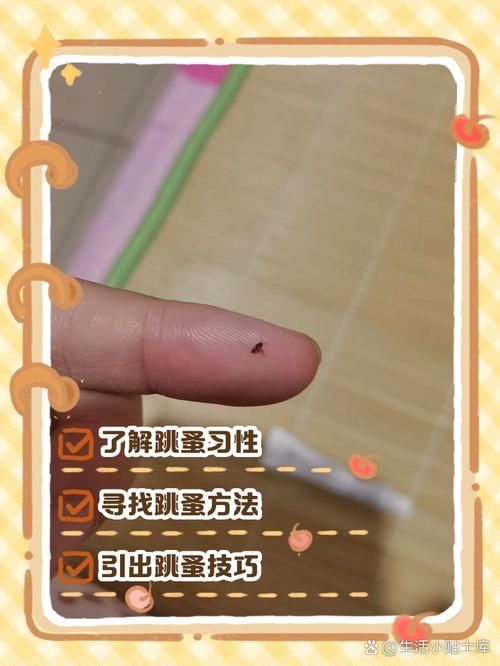 如何判斷魚缸是否消毒干凈，arxiv論文助手arxiv論文助手判斷魚缸是否消毒干凈