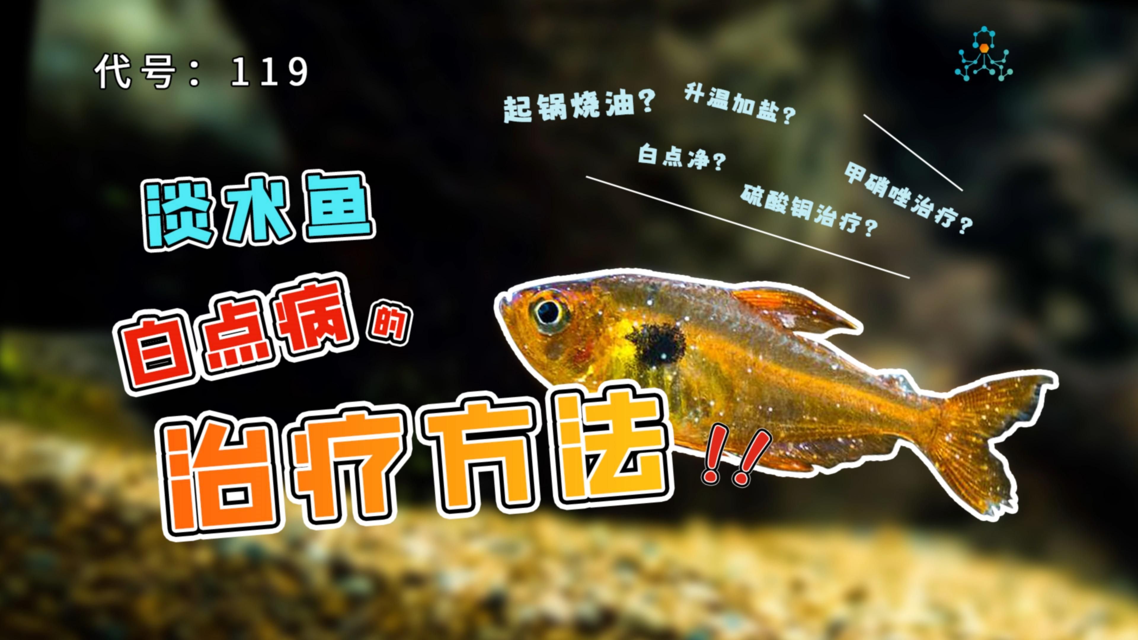 祥龍魚場有哪些常見的觀賞魚疾病？，祥龍魚場有哪些常見的觀賞魚疾病？祥龍魚場有哪些品種？