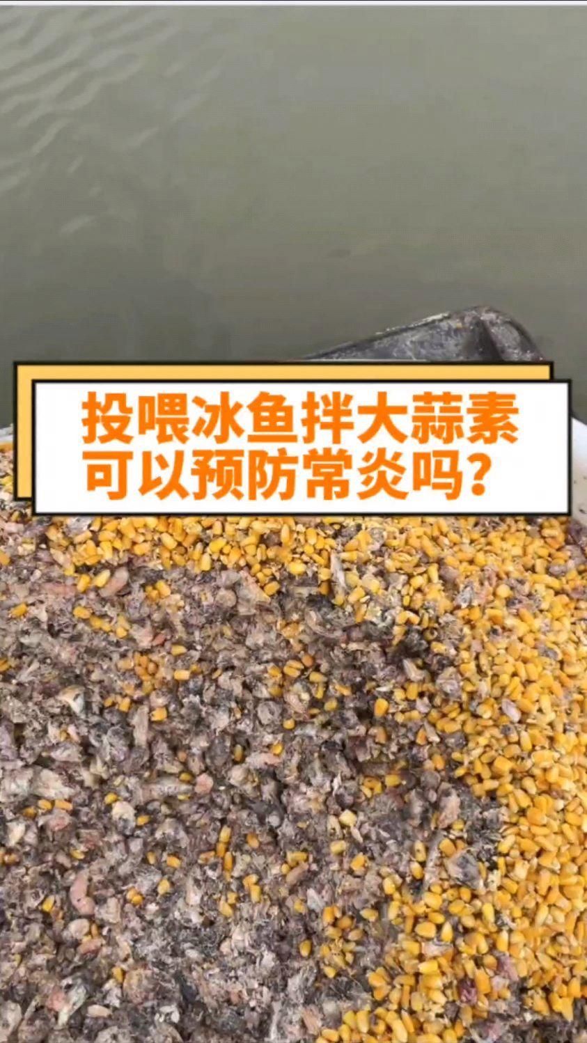 能否提供更多預防魚類腸炎的方法，**預防魚類腸炎有效方法