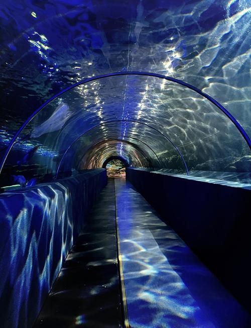秦皇島有哪些知名的水族館，秦皇島旅游攻略秦皇島水族館親子游攻略