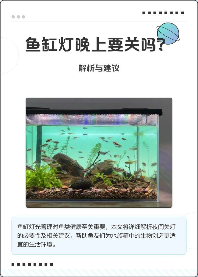如何設置龍魚缸的照明系統(tǒng)？，如何設置龍魚缸照明系統(tǒng)